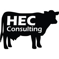 HEC Consulting logo - Similar company to Zeroin Hse Infrastructure Private Limited