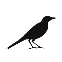 Advisory Point logo - Similar company to The Point Advisory