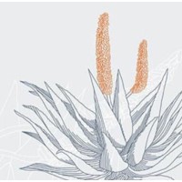 Ithaca Leadership logo - Similar company to Tdci Training & Development