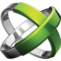 Schwartz NDT logo - Similar company to Intact