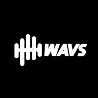 WAVS Custom logo - Similar company to Openhanded Wealth