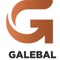 Galebal logo - Similar company to Markup Digi
