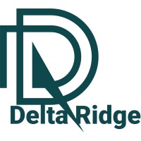 Delta Ridge logo - Similar company to Sixty Two Capital Pty Ltd