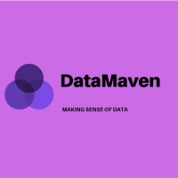 DataMaven LLC logo - Similar company to Digitise Infotech