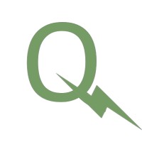 Flash Queue logo - Similar company to Dynamo 🚦