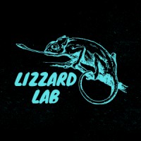 LizzardLab logo - Similar company to Security Intelligence Llc. (Security Vision Brand)