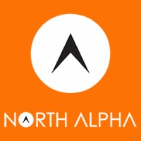 North Alpha logo - Similar company to Software Y Servicios Del Bajío Sa De Cv