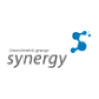 Investment Group Synergy logo - Similar company to Everything You Need Group