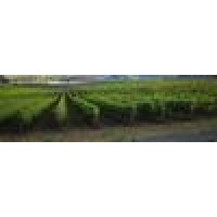 Dion Vineyard logo - Similar company to Langley & Co Advisors