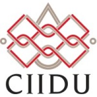 CIIDU logo - Similar company to Modavi Onlus