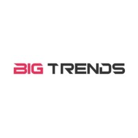 Big Trends logo - Similar company to Reliable Nation Solution