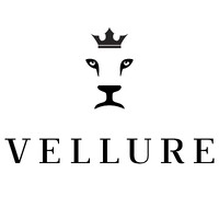 Vellure logo - Similar company to Superconcepts