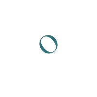 Opus Forensic Accounting logo - Similar company to Matrix Forensic Accounting & Investigations
