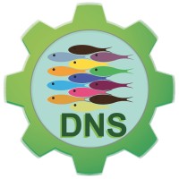 Dns Llc