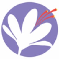 Saffron infotech logo - Similar company to Golden Thread Saffron