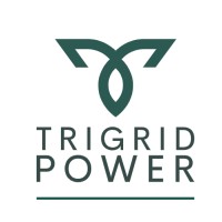 TRIGRID POWER logo - Similar company to Buine Technologies