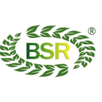 CÔNG TY TNHH GỖ BSR (BSR WOOD CO., LTD) logo - Similar company to Leloi Exim Global Co., Ltd