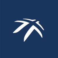 ESSEC Solutions Entreprises logo - Similar company to Essec Junior Development Singapore
