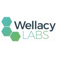 Wellacy Labs logo - Similar company to Holistic Herb Cbd