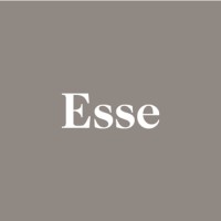 Esse logo - Similar company to Maison21