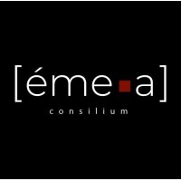 Eme-a Consilium logo - Similar company to Elemca