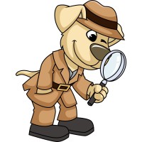 CompuFACT logo - Similar company to Lasco Corp