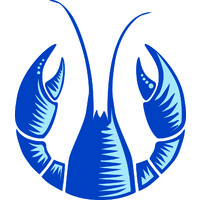 Blue Lobster Consultancy logo - Similar company to Bond Concepts