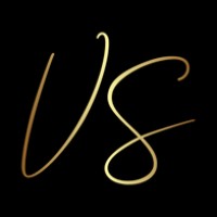 Vision Success logo - Similar company to Project Adventures