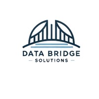 Data Bridge Solutions logo - Similar company to Databridge Solutions