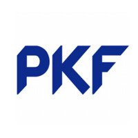 PKF Azerbaijan logo - Similar company to Dns Computers