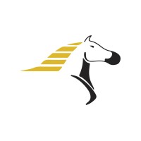 Astute Horse