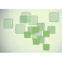 Capitas Solutions Llc