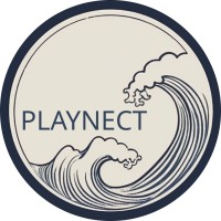 PLAYNECT logo - Similar company to Flexsolar