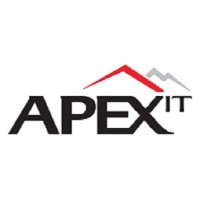 Ngi Apex It India Private Limited