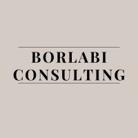 Borlabi Consulting logo - Similar company to Sourced