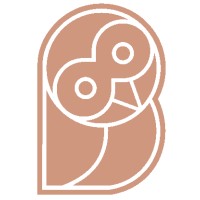 Kandu Leadership logo - Similar company to Videoscale
