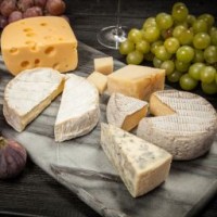 Epicure Foods Corp. logo - Similar company to Camino Import & Export