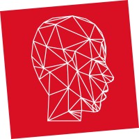 Digital Minds NL logo - Similar company to Crypto Insiders