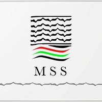 Medical Supplies and Services -MSS شركة التوريدات والخدمات الطبية logo - Similar company to Elevate Reputation