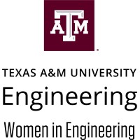 WE TAMU logo - Similar company to Swe-Tamu