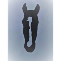 Emu Head Consulting logo - Similar company to Infralegal