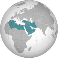 MENA Region: Pharma Market Access logo - Similar company to Trillioni Pharma