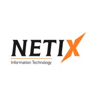Netix logo - Similar company to Urbytus
