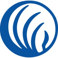 NAMI Huntsville logo - Similar company to Thrive Alabama