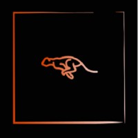 Tendua Games logo - Similar company to Tendup
