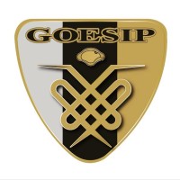 GOESIP CIA. LTDA. logo - Similar company to Texmareli