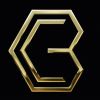 Bizcity Group logo - Similar company to 3S Group