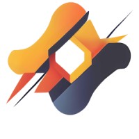 NexusBIT logo - Similar company to Raverus
