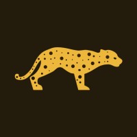 WildcatDB logo - Similar company to Tidesdb