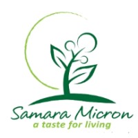 CV Samara Micron Saleronell logo - Similar company to Beomin.Id